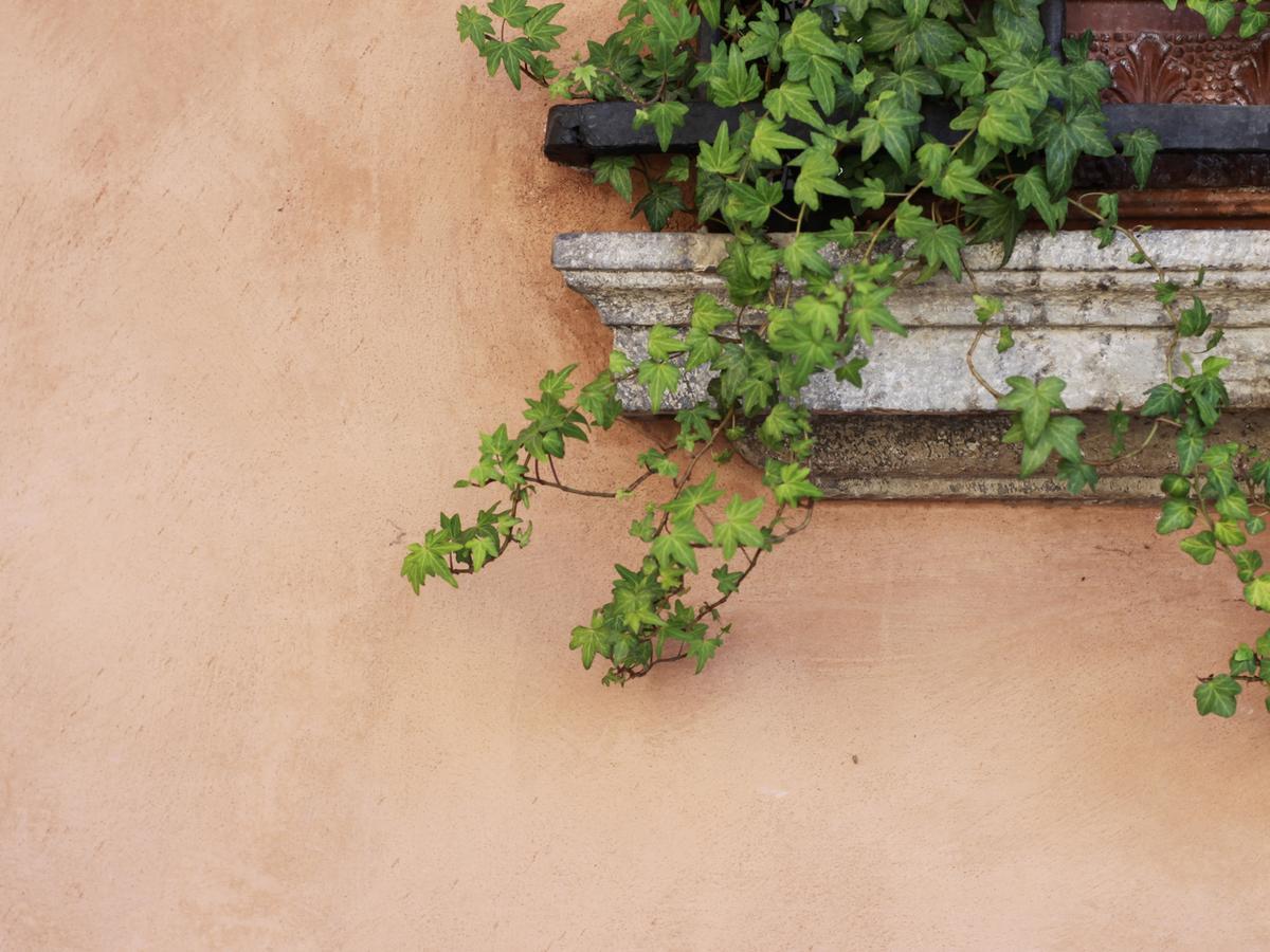 Casa Isolani Charms Rooms Santo Stefano Bolonia Exterior foto